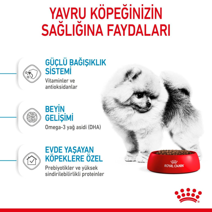 Mini Indoor Puppy Yavru Köpek Kuru Maması 1.5 kg