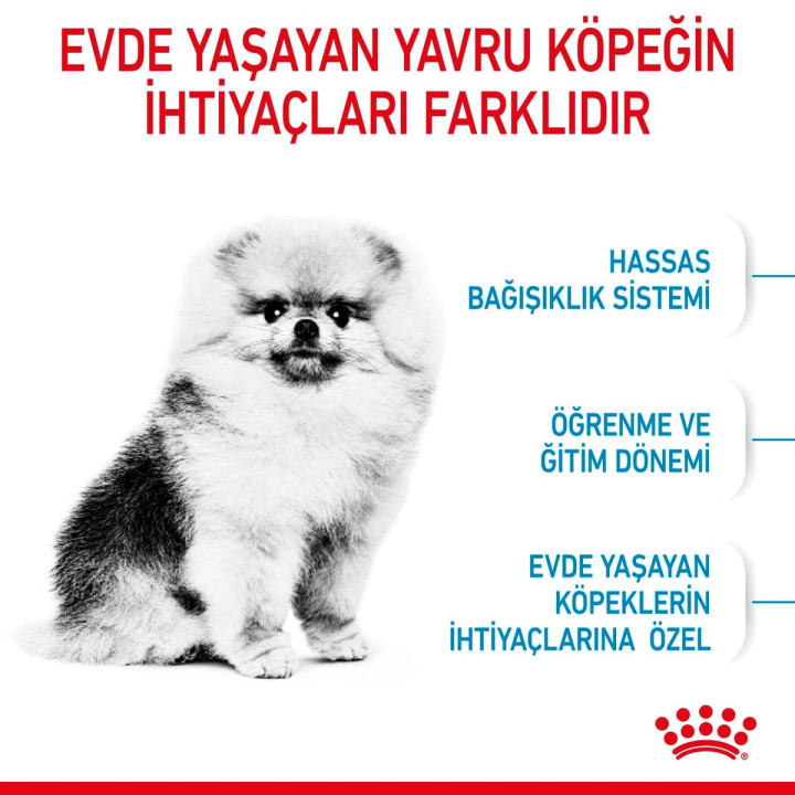 Mini Indoor Puppy Yavru Köpek Kuru Maması 1.5 kg