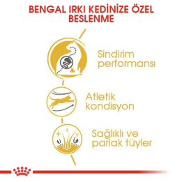 Bengal Adult Yetişkin Kedi Kuru Maması 2 kg