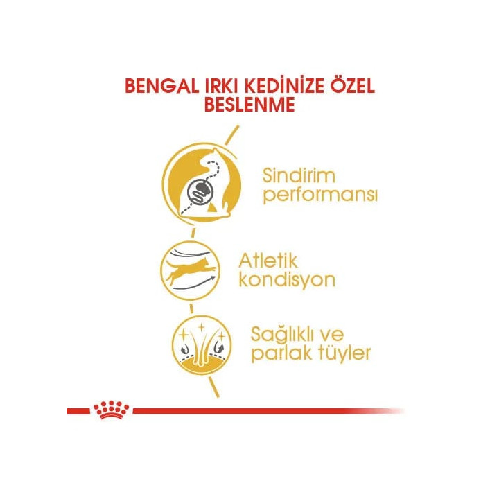 Bengal Adult Yetişkin Kedi Kuru Maması 2 kg