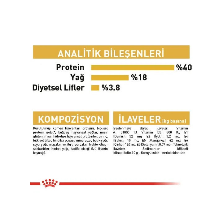 Bengal Adult Yetişkin Kedi Kuru Maması 2 kg