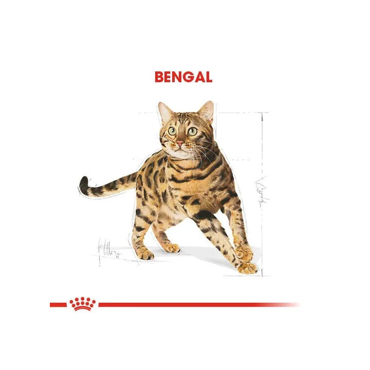 Bengal Adult Yetişkin Kedi Kuru Maması 2 kg