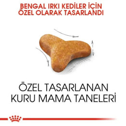 Bengal Adult Yetişkin Kedi Kuru Maması 2 kg