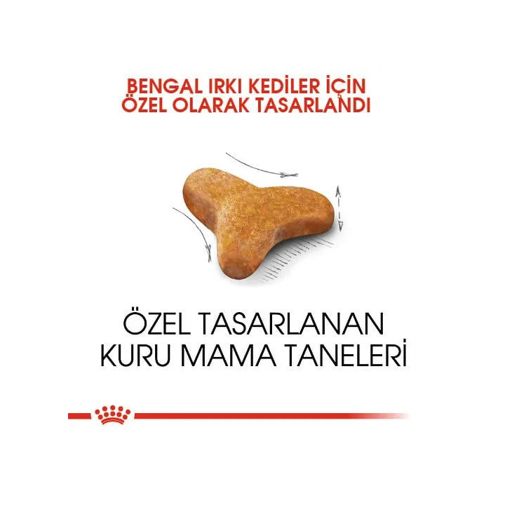 Bengal Adult Yetişkin Kedi Kuru Maması 2 kg