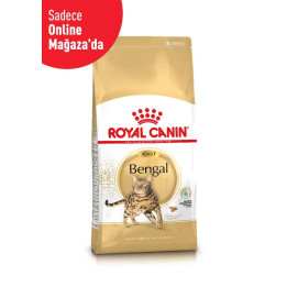 Bengal Adult Yetişkin Kedi Kuru Maması 2 kg