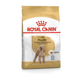 Poodle Adult Yetişkin Köpek Kuru Maması 3 kg