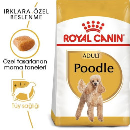 Poodle Adult Yetişkin Köpek Kuru Maması 3 kg