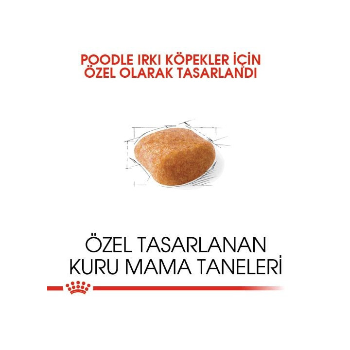 Poodle Adult Yetişkin Köpek Kuru Maması 3 kg