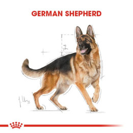 German Shepherd Adult Yetişkin Köpek Kuru Maması 11 kg