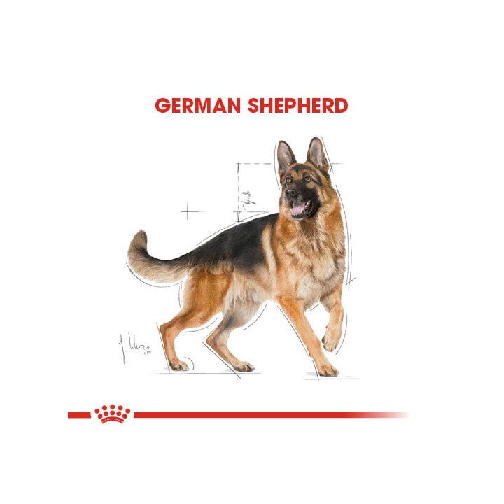 German Shepherd Adult Yetişkin Köpek Kuru Maması 11 kg