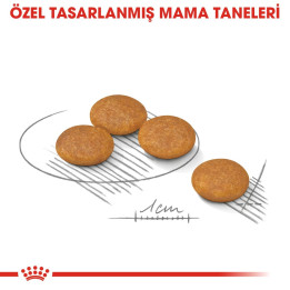 Mini Dermacomfort Yetişkin Köpek Kuru Maması 3 kg