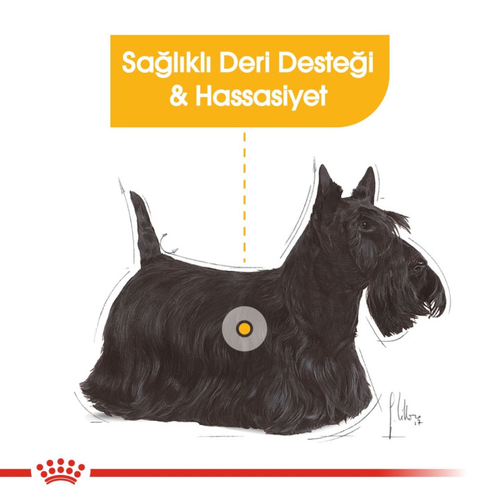 Mini Dermacomfort Yetişkin Köpek Kuru Maması 3 kg