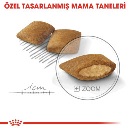 Mini Exigent Yetişkin Köpek Kuru Maması 3 kg