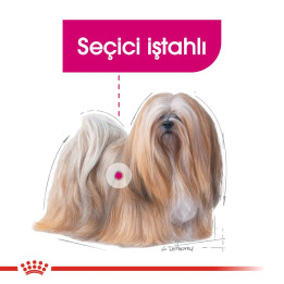 Mini Exigent Yetişkin Köpek Kuru Maması 3 kg