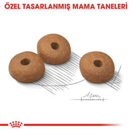 Mini Light Weight Care Yetişkin Köpek Kuru Maması 3 kg