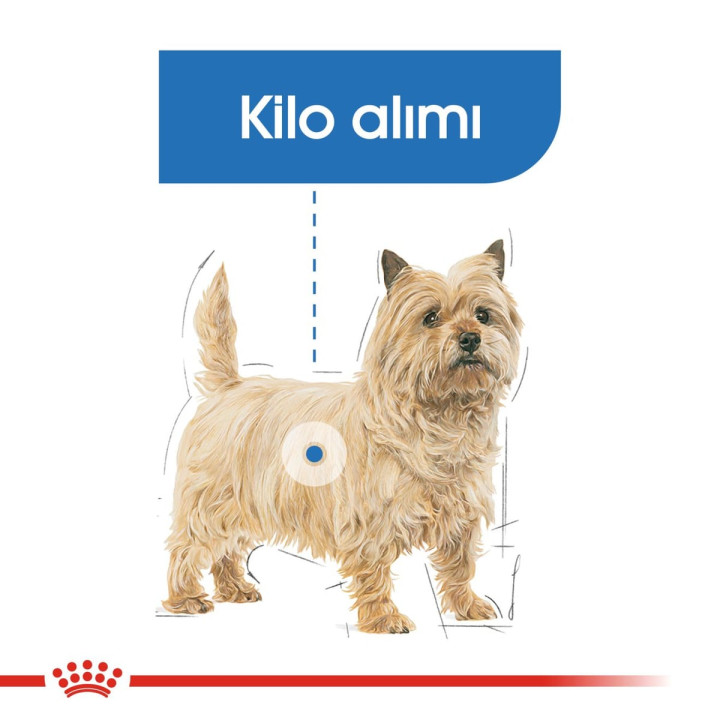 Mini Light Weight Care Yetişkin Köpek Kuru Maması 3 kg