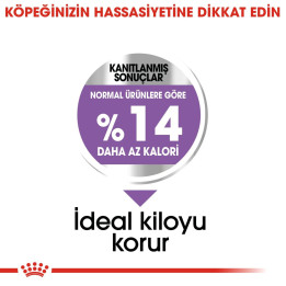 Mini Sterilised Yetişkin Köpek Kuru Maması 3 kg