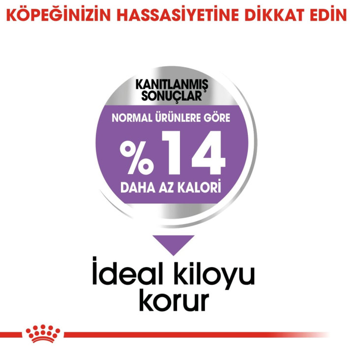 Mini Sterilised Yetişkin Köpek Kuru Maması 3 kg