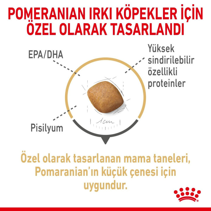 Pomeranian Adult Yetişkin Köpek Kuru Maması 3 kg