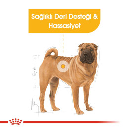 Medium Dermacomfort Yetişkin Köpek Kuru Maması 12 kg