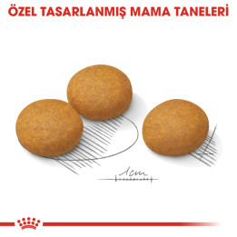 Medium Dermacomfort Yetişkin Köpek Kuru Maması 12 kg