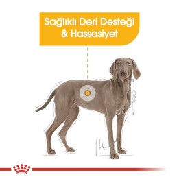 Maxi Dermacomfort Yetişkin Köpek Kuru Maması 12 kg