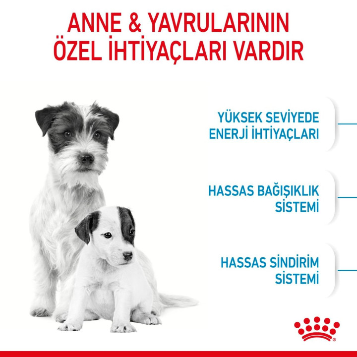 Mini Starter Yavru Köpek Kuru Maması 4 kg