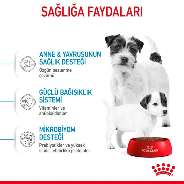 Mini Starter Yavru Köpek Kuru Maması 4 kg