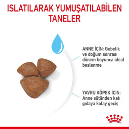 Mini Starter Yavru Köpek Kuru Maması 4 kg