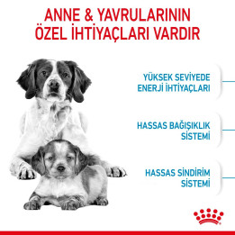 Medium Starter Yavru Köpek Kuru Maması 15 kg