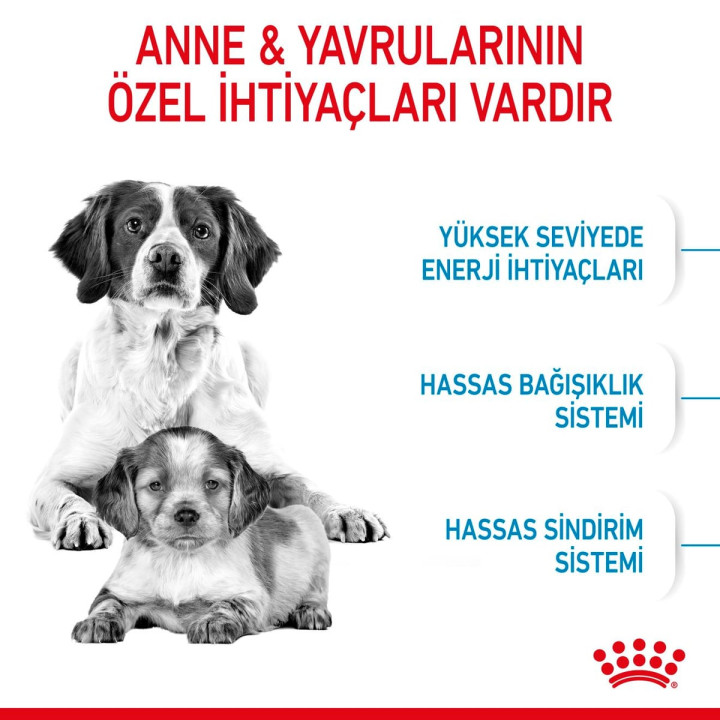 Medium Starter Yavru Köpek Kuru Maması 15 kg