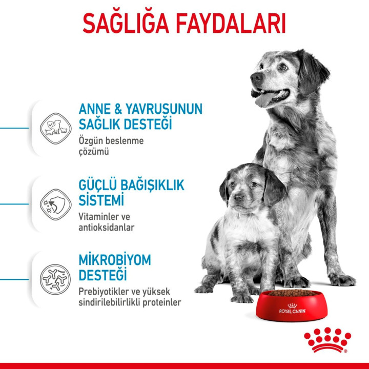 Medium Starter Yavru Köpek Kuru Maması 15 kg