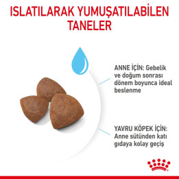 Medium Starter Yavru Köpek Kuru Maması 15 kg