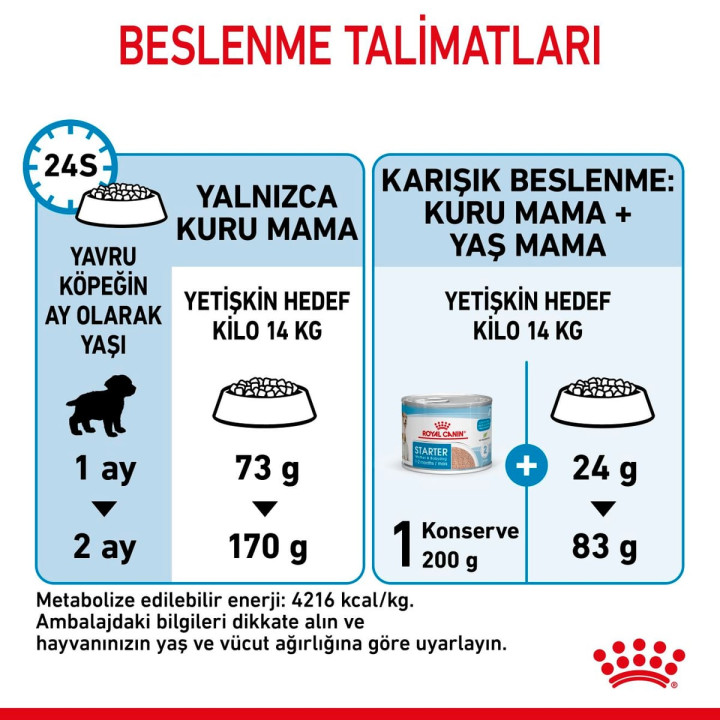 Medium Starter Yavru Köpek Kuru Maması 15 kg