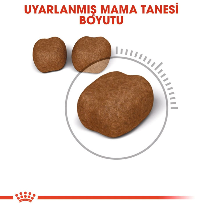 Dental Care Yetişkin Kedi Kuru Maması 1.5 kg