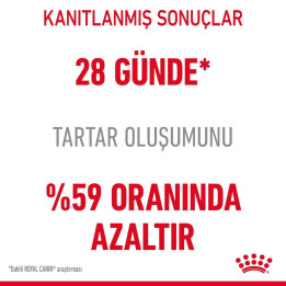 Dental Care Yetişkin Kedi Kuru Maması 1.5 kg