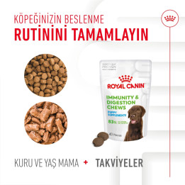 Immunity&Digestion Chews Bağışıklık ve Sindirim Sistemini Destekleyen Tamamlayıcı Ödül Maması 1 x 100 g