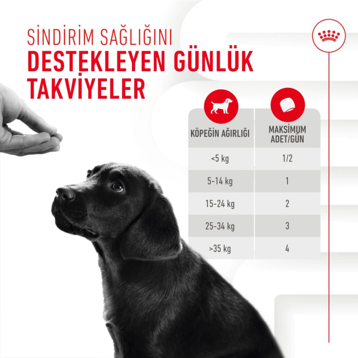 Immunity&Digestion Chews Bağışıklık ve Sindirim Sistemini Destekleyen Tamamlayıcı Ödül Maması 1 x 100 g