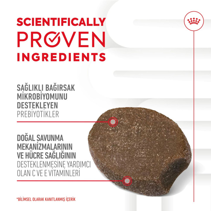 Immunity&Digestion Chews Bağışıklık ve Sindirim Sistemini Destekleyen Tamamlayıcı Ödül Maması 1 x 100 g