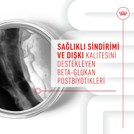 Immunity&Digestion Chews Bağışıklık ve Sindirim Sistemini Destekleyen Tamamlayıcı Ödül Maması 1 x 100 g