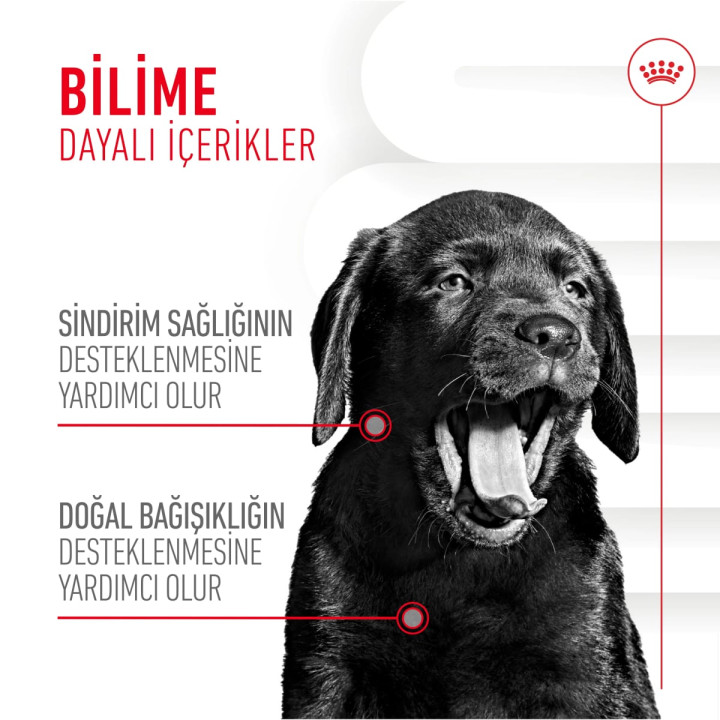 Immunity&Digestion Chews Bağışıklık ve Sindirim Sistemini Destekleyen Tamamlayıcı Ödül Maması 1 x 100 g