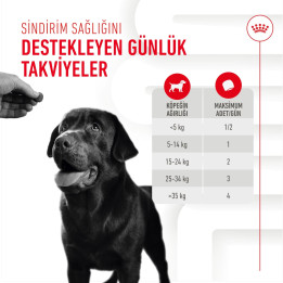 Digestion Chews Sindirim Sistemini Destekleyen Tamamlayıcı Ödül Maması 1 x 160 g