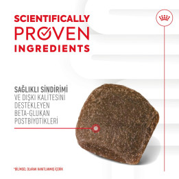 Digestion Chews Sindirim Sistemini Destekleyen Tamamlayıcı Ödül Maması 1 x 160 g