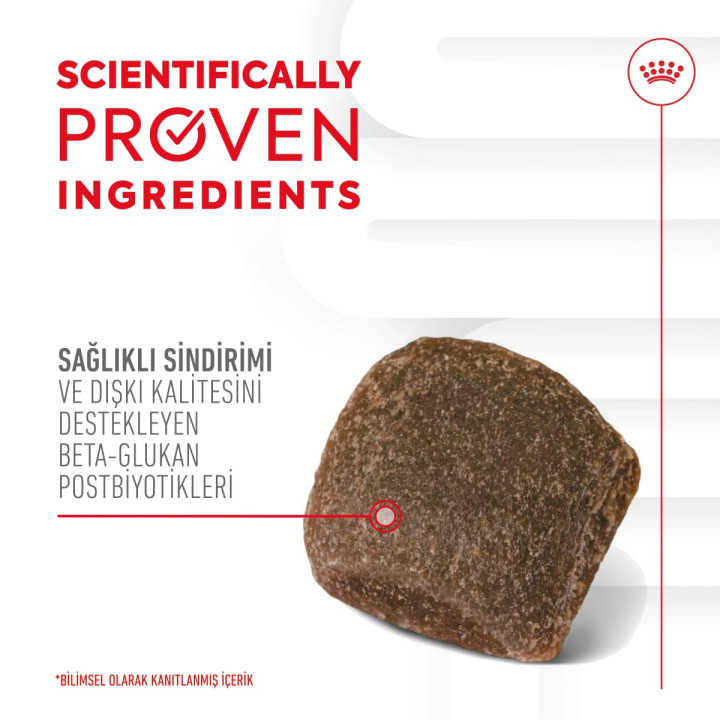 Digestion Chews Sindirim Sistemini Destekleyen Tamamlayıcı Ödül Maması 1 x 160 g