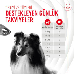 Skin&Coat Chews Deri ve Tüy Sağlığını Destekleyen Tamamlayıcı Ödül Maması 1 x 240 g