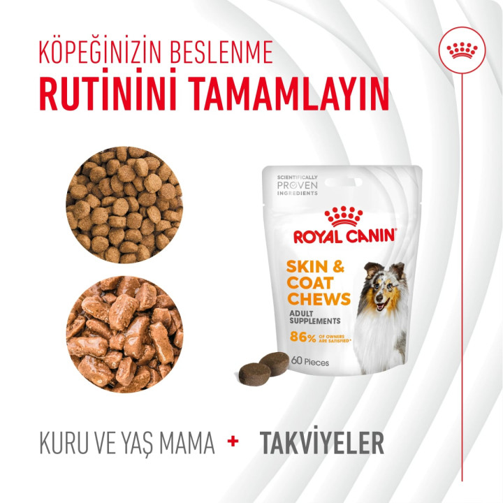 Skin&Coat Chews Deri ve Tüy Sağlığını Destekleyen Tamamlayıcı Ödül Maması 1 x 240 g
