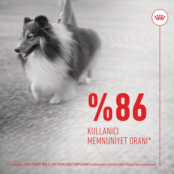 Skin&Coat Chews Deri ve Tüy Sağlığını Destekleyen Tamamlayıcı Ödül Maması 1 x 240 g