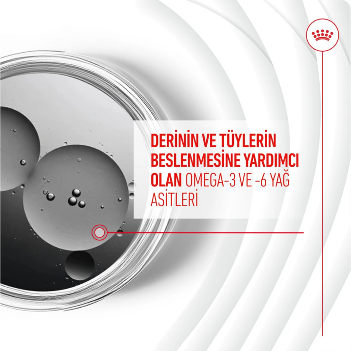 Skin&Coat Chews Deri ve Tüy Sağlığını Destekleyen Tamamlayıcı Ödül Maması 1 x 240 g
