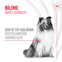 Skin&Coat Chews Deri ve Tüy Sağlığını Destekleyen Tamamlayıcı Ödül Maması 1 x 240 g