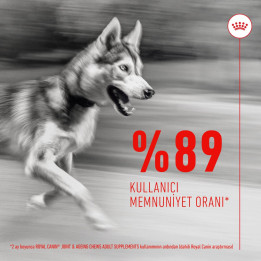 Joint&Ageing Chews Eklem ve Sağlıklı Yaşlanmayı Destekleyen Tamamlayıcı Ödül Maması 1 x 240 g